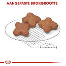 Royal Canin hondenvoer Mini Adult 8+ 8 kg