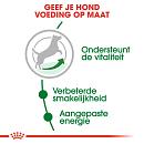Royal Canin hondenvoer Mini Adult 8+ 8 kg