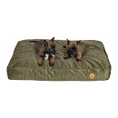 Jack and Vanilla Hondenmatras Manchester Groen