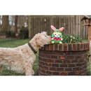 Beeztees hondenspeelgoed Konijnenei Titi