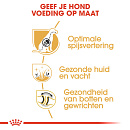 Royal Canin Hondenvoer German Shepherd Adult 11 kg