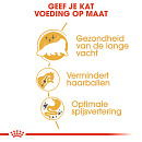 Royal Canin Kattenvoer Persian Adult 2 kg