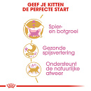 Royal Canin kattenvoer British Shorthair Kitten 2 kg