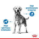 Royal Canin Hondenvoer Light Weight Care Maxi 12 kg