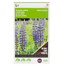 Buzzy® Groenbemester Lupine Blauwe Bittere 100g