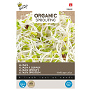 Buzzy® Organic Sprouting Alfalfa (BIO)
