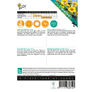 Buzzy® Sunny Flowers, Zonnebloem Pacino