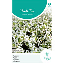 HT Alyssum Sneeuwkleed