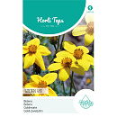 HT Bidens Golden Eye