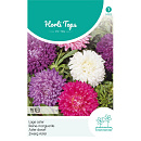 HT Callistephus, Dwerg-Aster gemengd