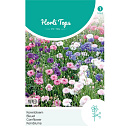 HT Centaurea, Korenbloem gemengd
