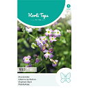 HT Cheiranthus, Strandviolier gemengd