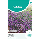 HT Lobelia, Hanglobelia Saphir