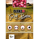 Plantuien Red Baron 250g (18)
