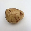 POOTAARDAPPEL PAREL 1 KG