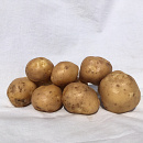 POOTAARDAPPEL SURPRISE 1 KG