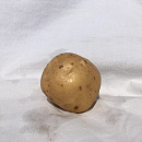 POOTAARDAPPEL SURPRISE 1 KG