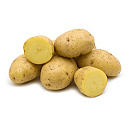 POOTAARDAPPEL FRIESLANDER 2,5 KG