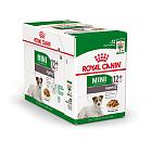 Royal Canin hondenvoer Mini Ageing 12+ 12 x 85 gr