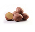 POOTAARDAPPEL BILDTSTAR 1 KG