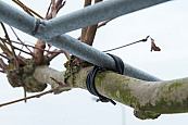 BINDBUIS 3MM 50 METER ZWART