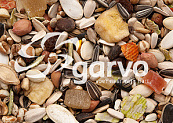 Garvo Papegaai <br>Fruit & Noot 15 kg