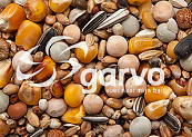 Garvo Prestige Rui <br>20 kg