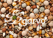 Garvo Prestige Junior Groei 20 kg