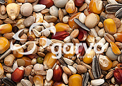 Garvo Pigeon-Academy Prestige 20 kg