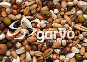 Garvo Zoontjens Speciaal 20 kg