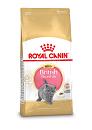 Royal Canin kattenvoer British Shorthair Kitten 2 kg