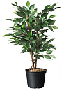 Plantcontainer 1L - 10,4xø13,2 cm