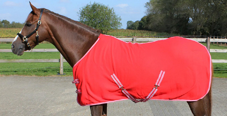 Paardendekens wassen en repareren