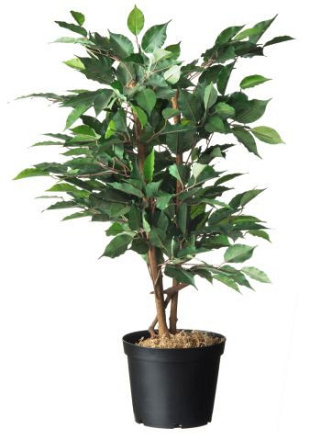 Plantcontainer 1L - 10,4xø13,2 cm