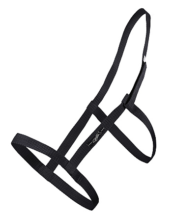QHP weidehalster zwart 