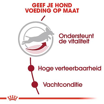 Royal Canin hondenvoer Medium Adult 7+ 15 kg