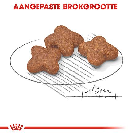 Royal Canin hondenvoer Mini Adult 8+ 8 kg