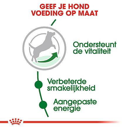 Royal Canin hondenvoer Mini Adult 8+ 8 kg