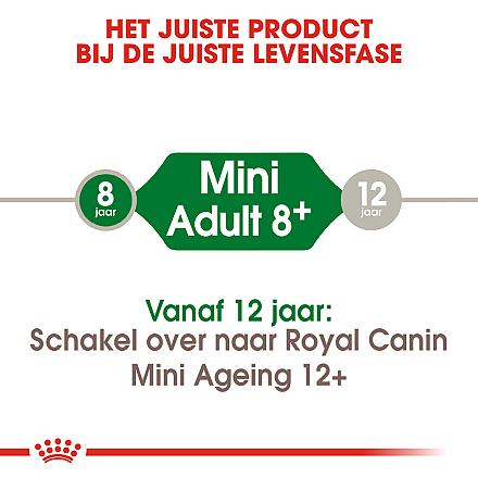 Royal Canin hondenvoer Mini Adult 8+ 8 kg
