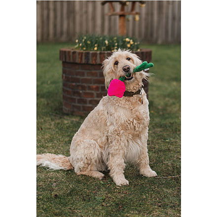 Beeztees hondenspeelgoed Tulp Tulipa