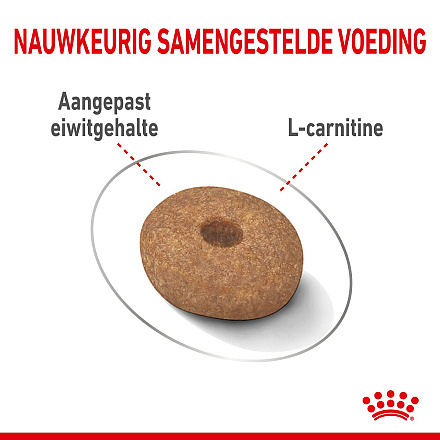 Royal Canin Hondenvoer Light Weight Care Mini 3 kg