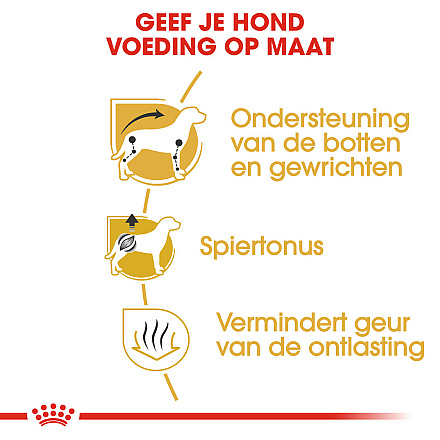 Royal Canin Hondenvoer Dachshund Adult 7,5 kg