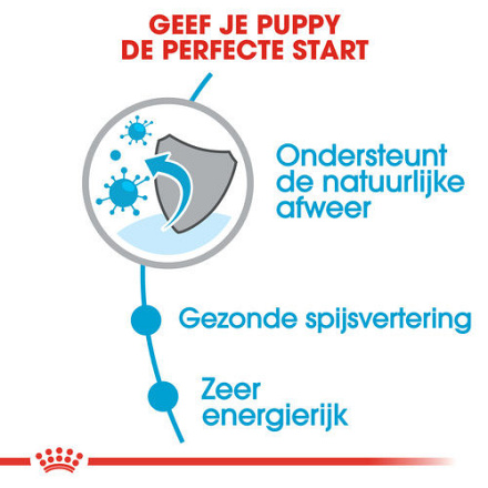 Royal Canin Hondenvoer Mini Puppy 2 kg