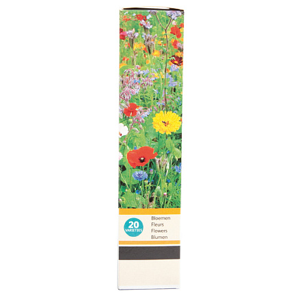 BUZZY® FRIENDLY FLOWERS LIEVEHEERSBEESTJES15M² 