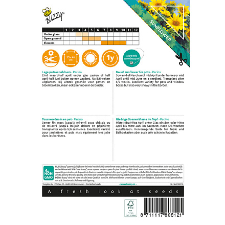 Buzzy® Sunny Flowers, Zonnebloem Pacino