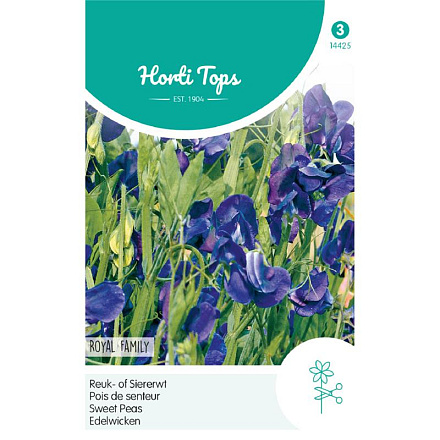 HT Lathyrus, Reuk- of Siererwt Royal Family Blauw