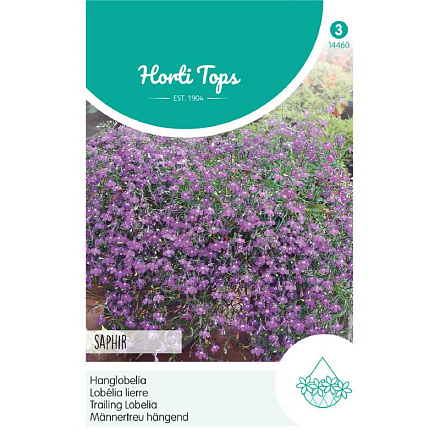 HT Lobelia, Hanglobelia Saphir
