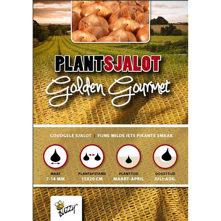 Plantsjalotten Golden Gourmet 250g (16)