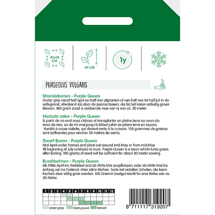 Stamslabonen Purple Queen, 100g
