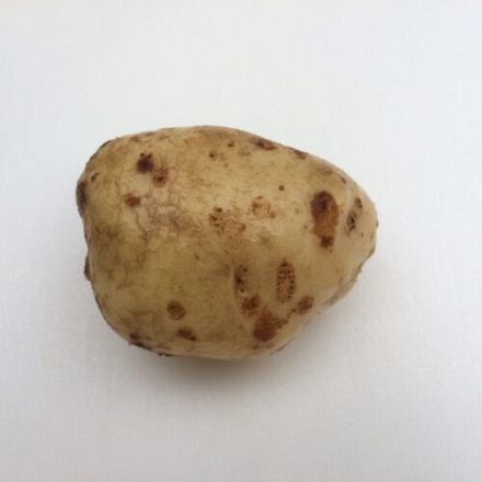 POOTAARDAPPEL PAREL 1 KG